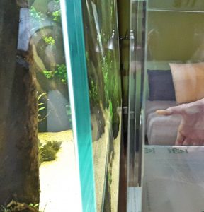 Arcyl-Aquarium im direkten Vergleich zu einem Weißglasaquarium