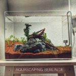 Nano Aquascape