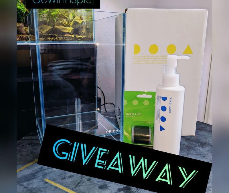 Aquascaping Berlin Giveaway