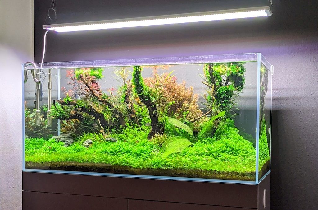 Erfahrungen mit der Aqua Grow Uniq FS 120