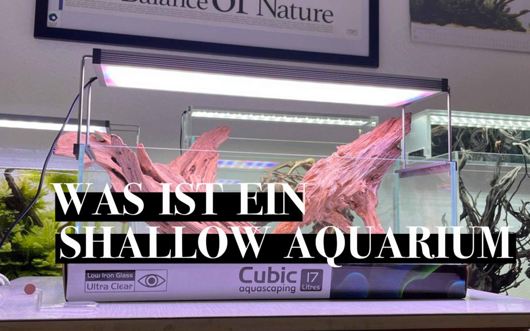 Was ist ein Shallow Aquarium?