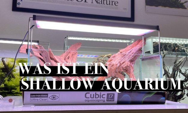 Was ist ein Shallow Aquarium?