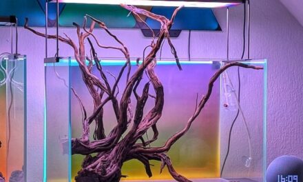 LED Aquarium Rückwand selber bauen