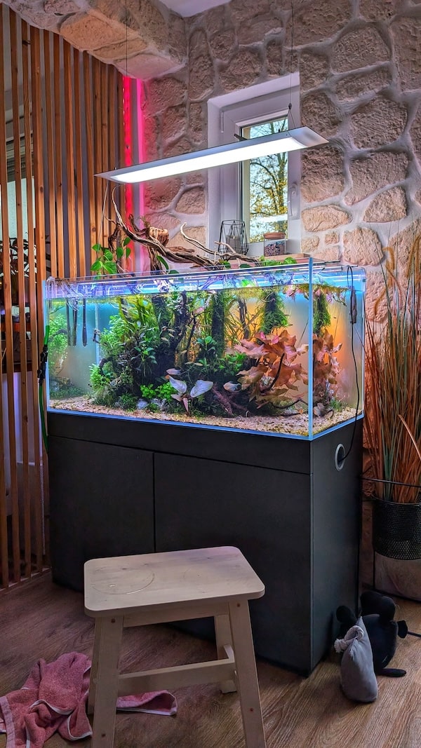LED-Hintergrundbeleuchtung für Aquarien selber bauen