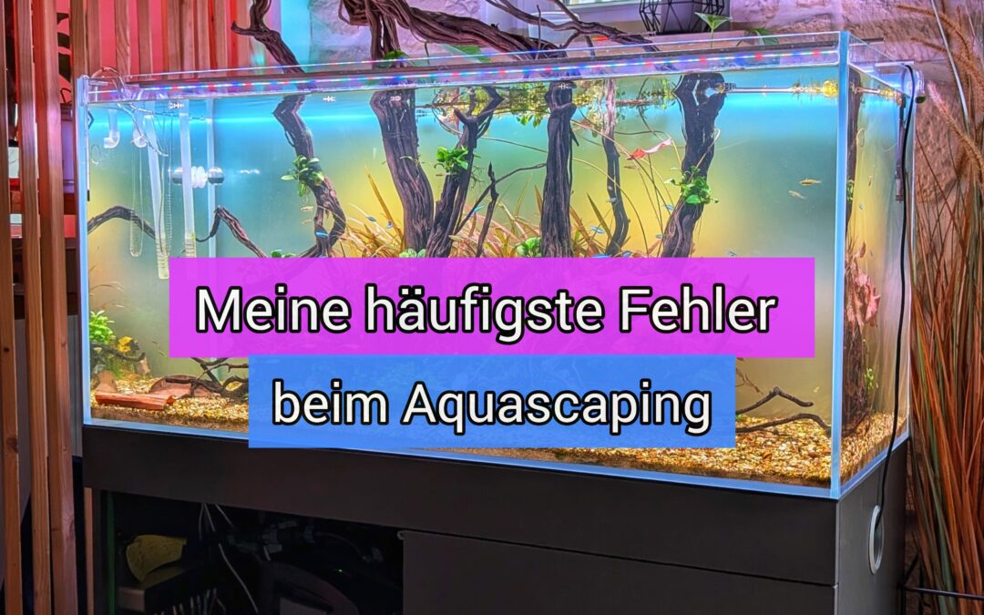 Meine häufigsten Fehler beim Aquascaping