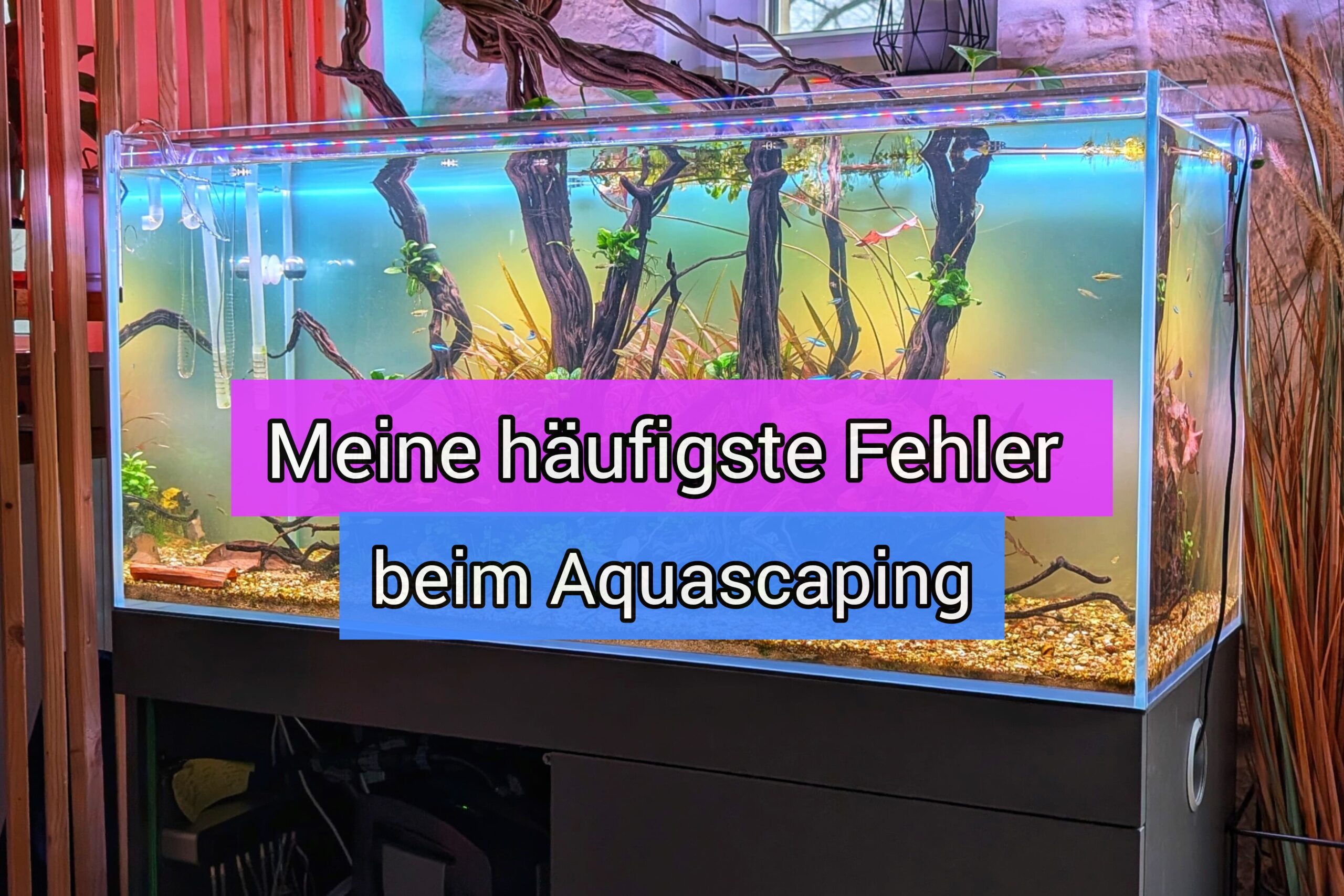Aquascaping Fehler – Naturaquarium mit Algen durch falsches Co2-Management Berlin