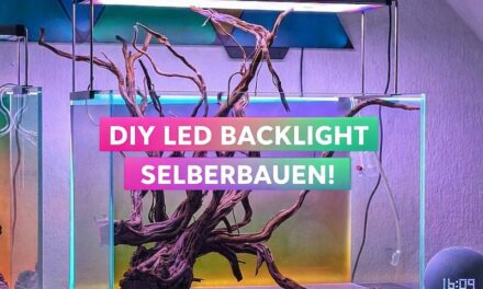LED Aquarium Rückwand selber bauen