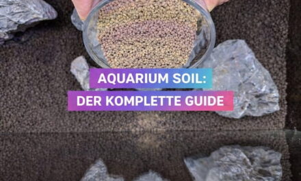 Aquarium Soil: Der komplette Guide für Anfänger & Profis