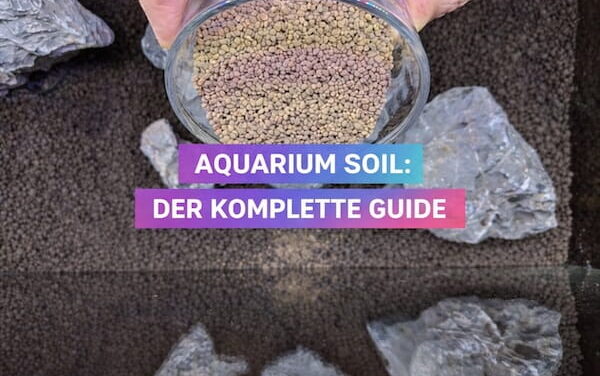 Aquarium Soil: Der komplette Guide – Für Anfänger & Profis