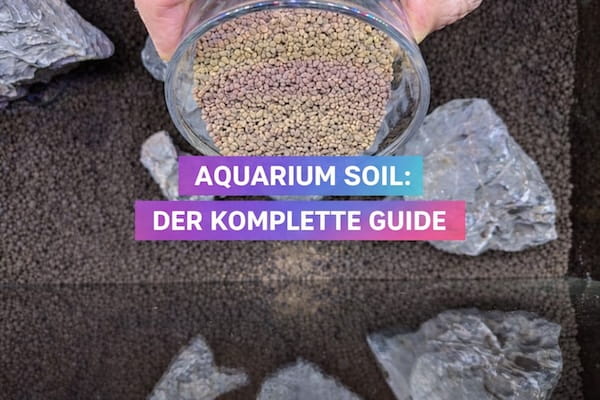 Aquarium Soil: Der komplette Guide für Anfänger & Profis