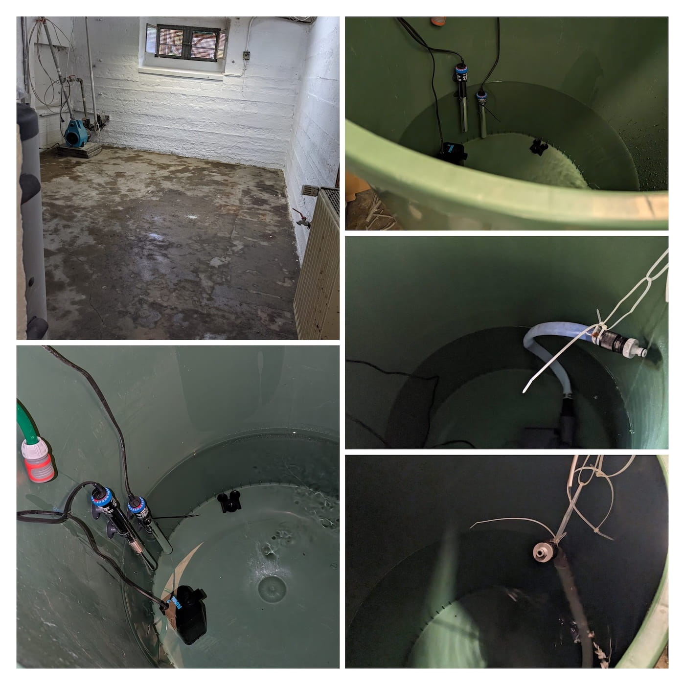 Osmosewasser Überlaufen verhindern: Sichere Automatisierung für Ihr Aquarium