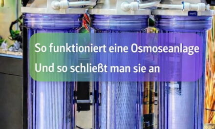 Osmoseanlage fürs Aquarium: So funktioniert Umkehrosmose wirklich