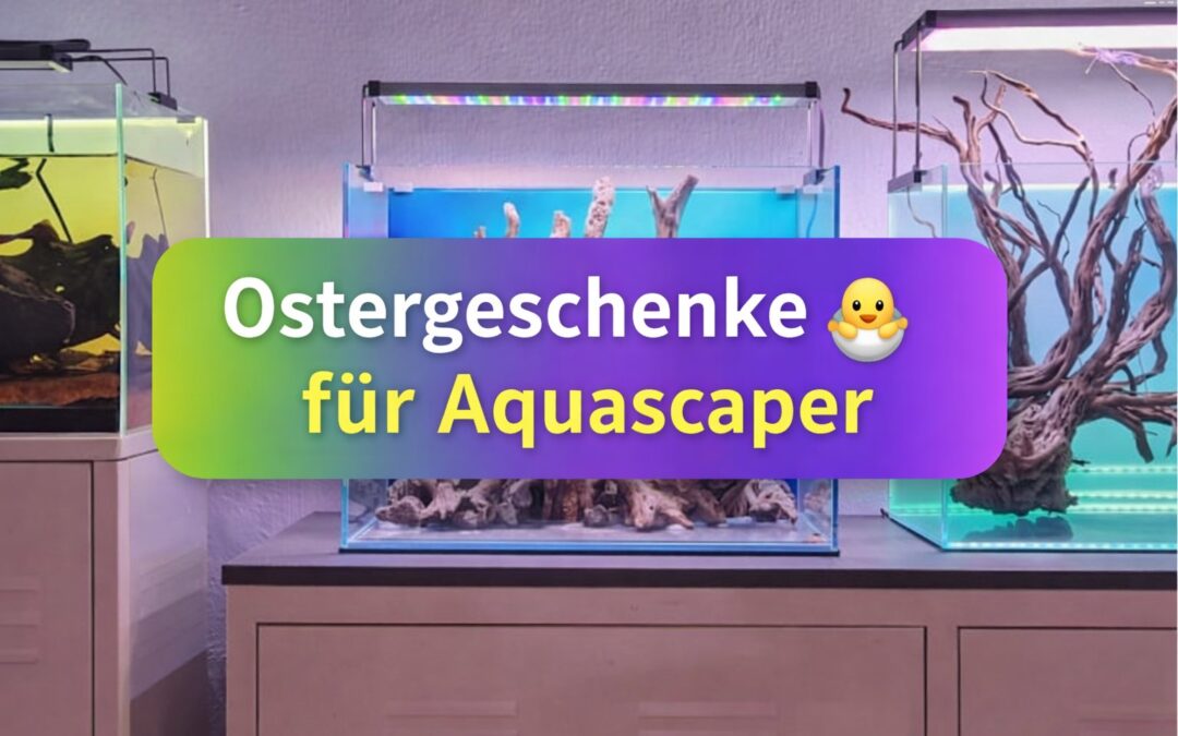 Ostergeschenke für Aquascaper
