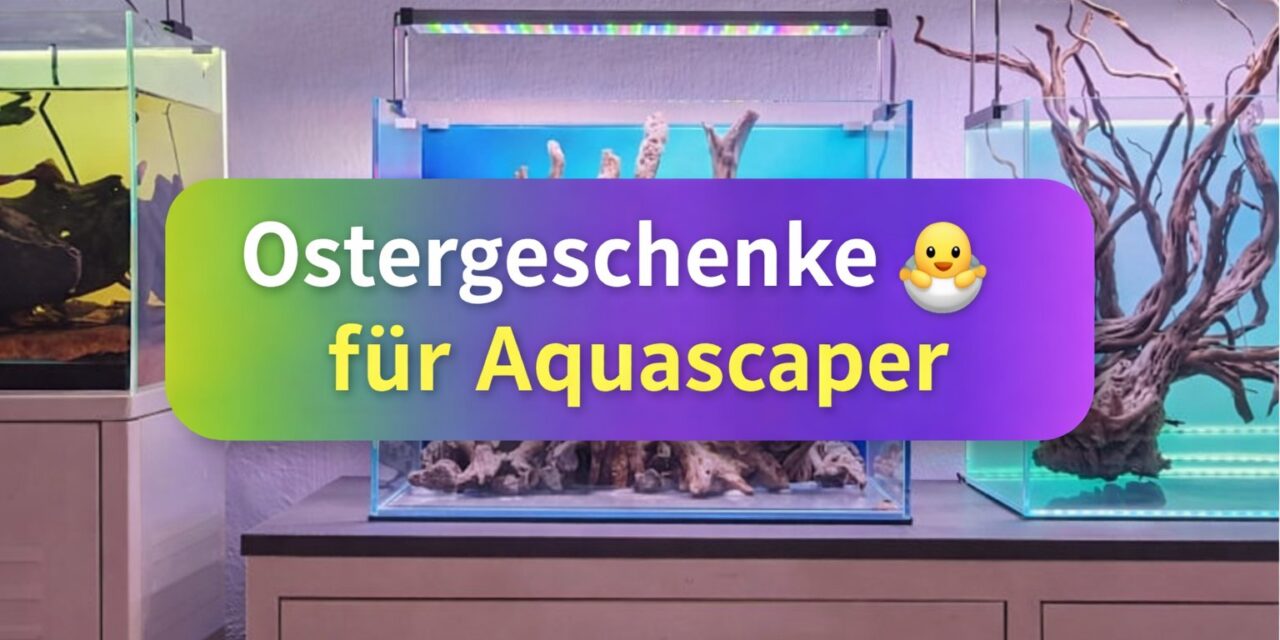 Ostergeschenke für Aquascaper