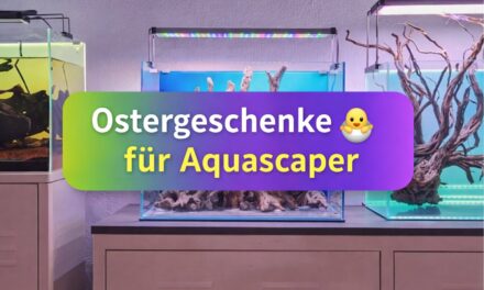 Ostergeschenke für Aquascaper