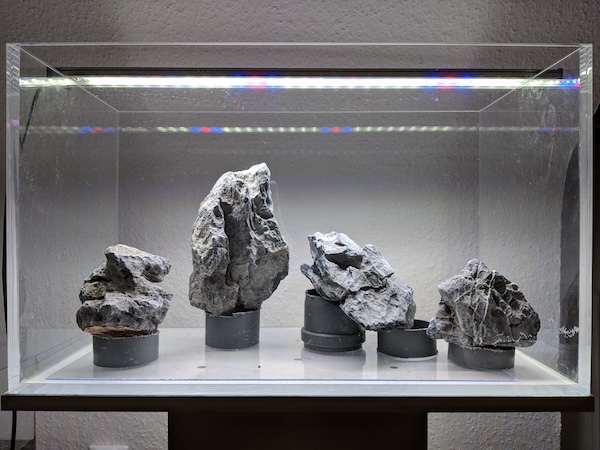 Hardscape Kleber für Aquarium Steine – aquariumsicherer Sekundenkleber