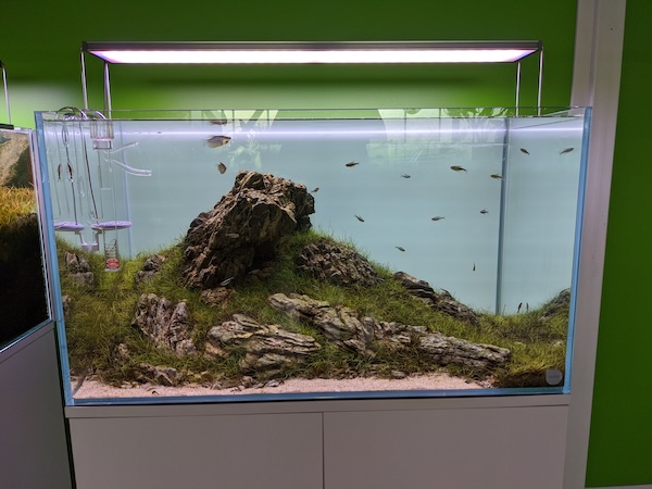 Aquarium Steine Auswahl – verschiedene Aquascaping Steine im Vergleich