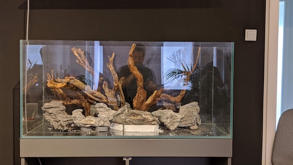 Aquarium Steine kleben – Profi-Methode für stabiles Hardscape