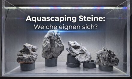 Aquascaping Steine