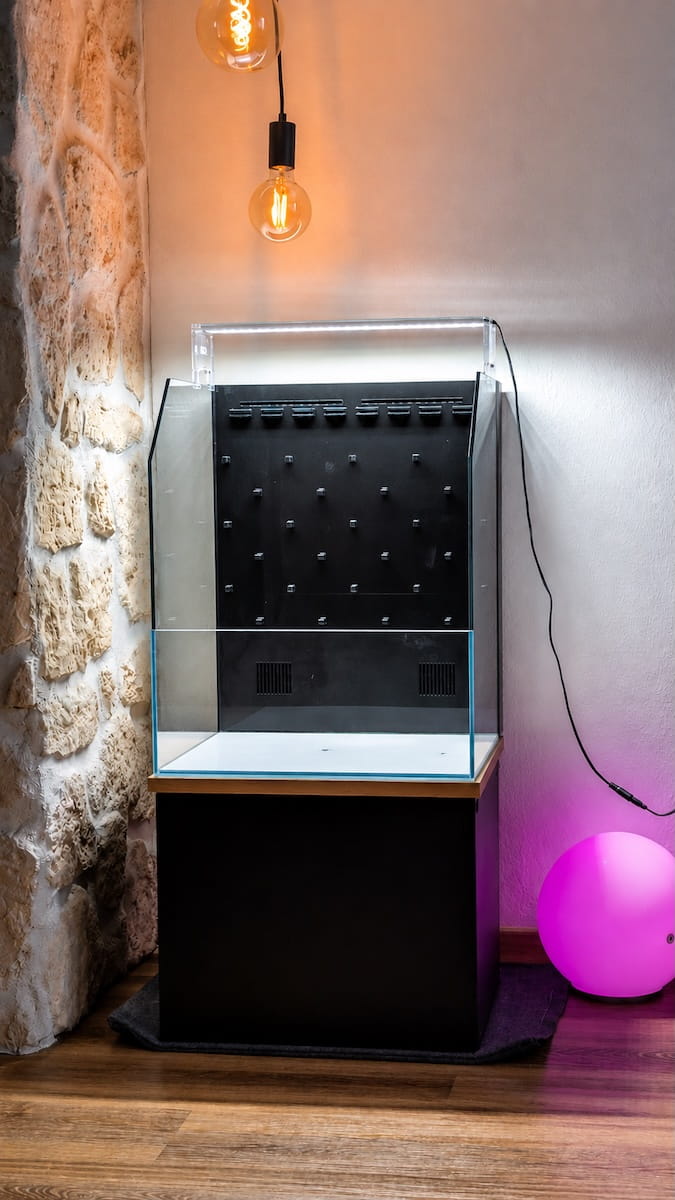 Blau Cubic Selva 35 Paludarium – All-in-One System mit Vernebler, Filterpads und intelligentem Wasserfall