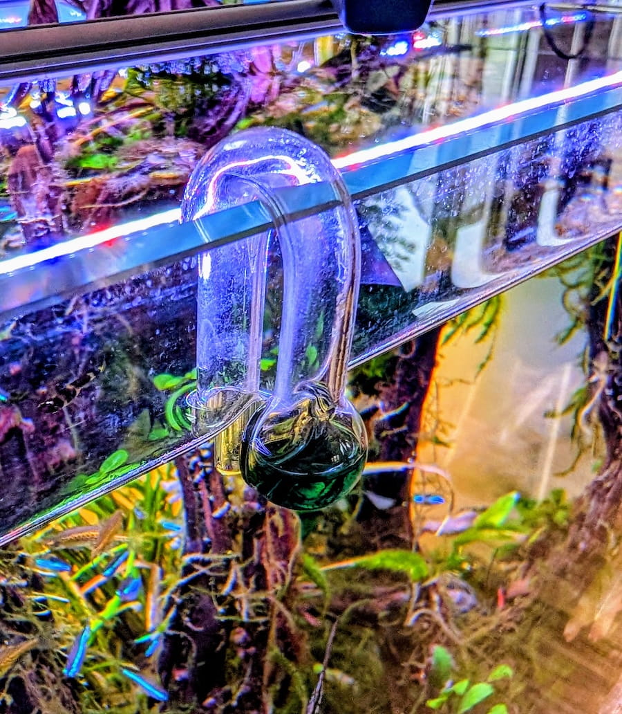 CO2 Dauertest Aquarium U-Form Glas – mein Favorit nach 10 Jahren Aquascaping