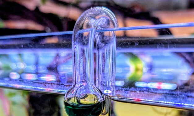 Co2 Dauertest Aquarium