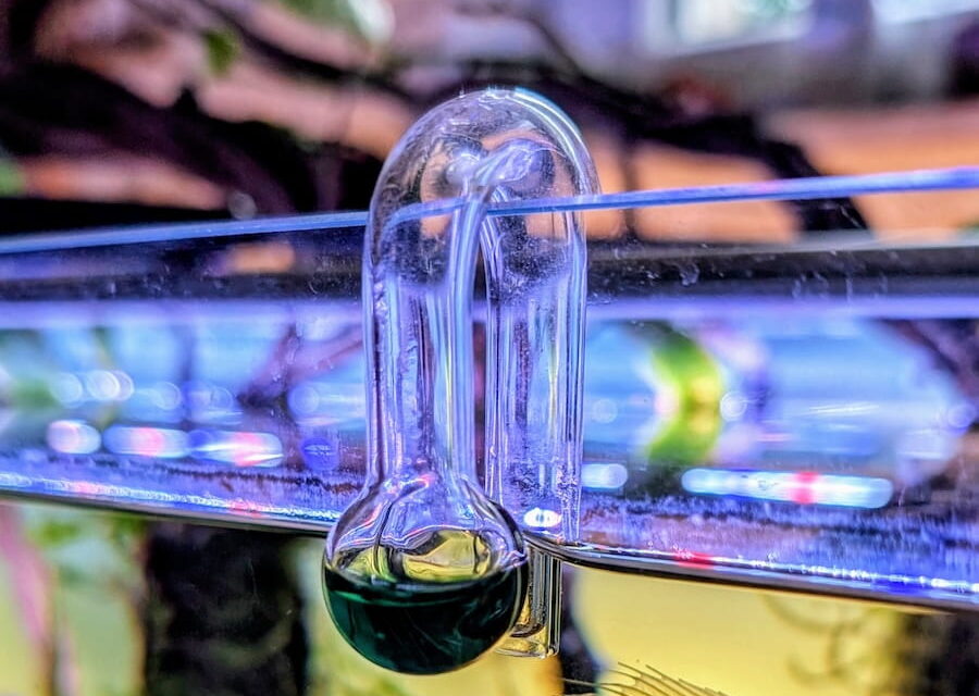 Co2 Dauertest Aquarium