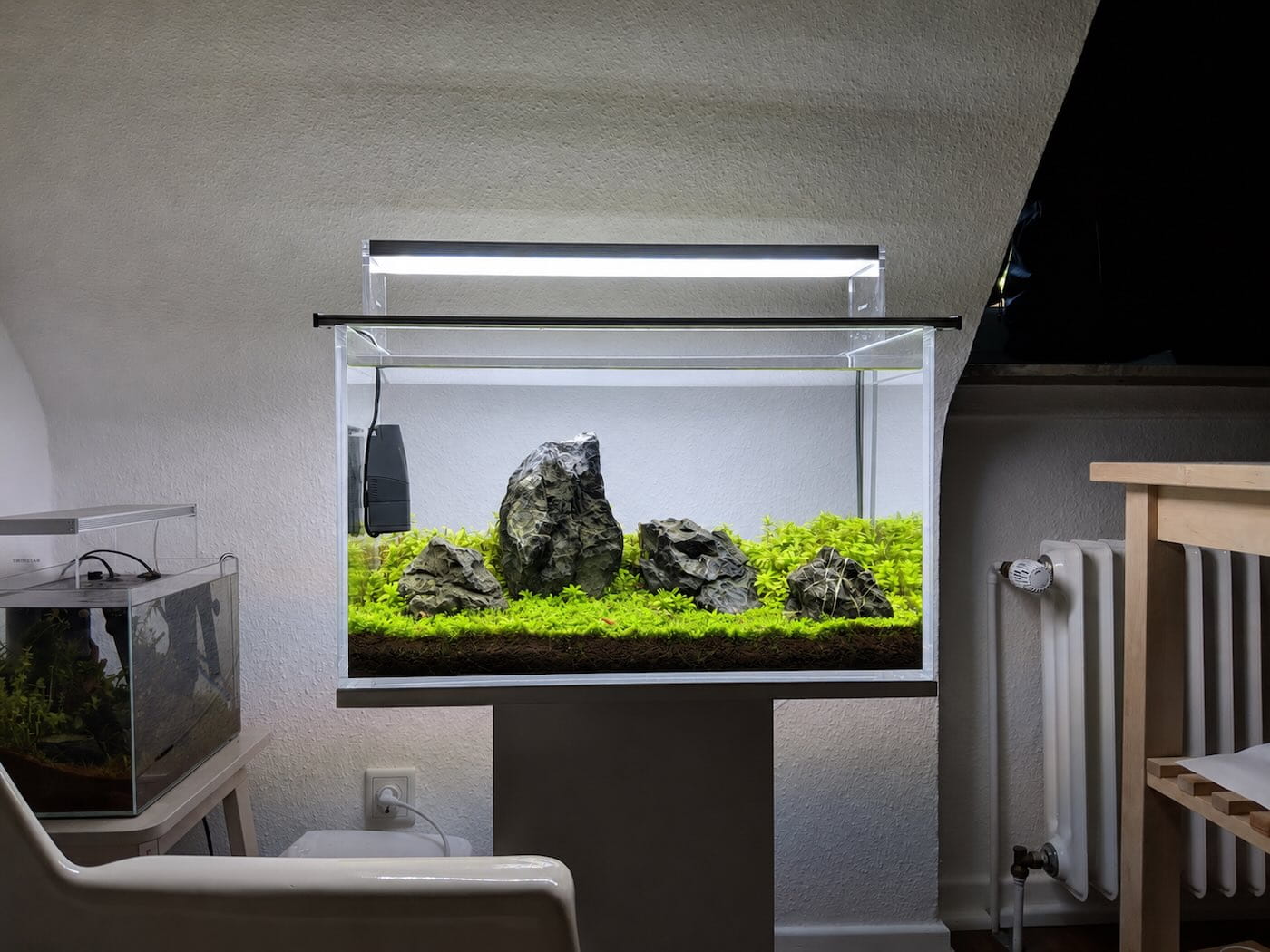 Iwagumi Aquascape – 2 Tage vor dem Wasserschaden aufgenommen, aquascaping-berlin.de