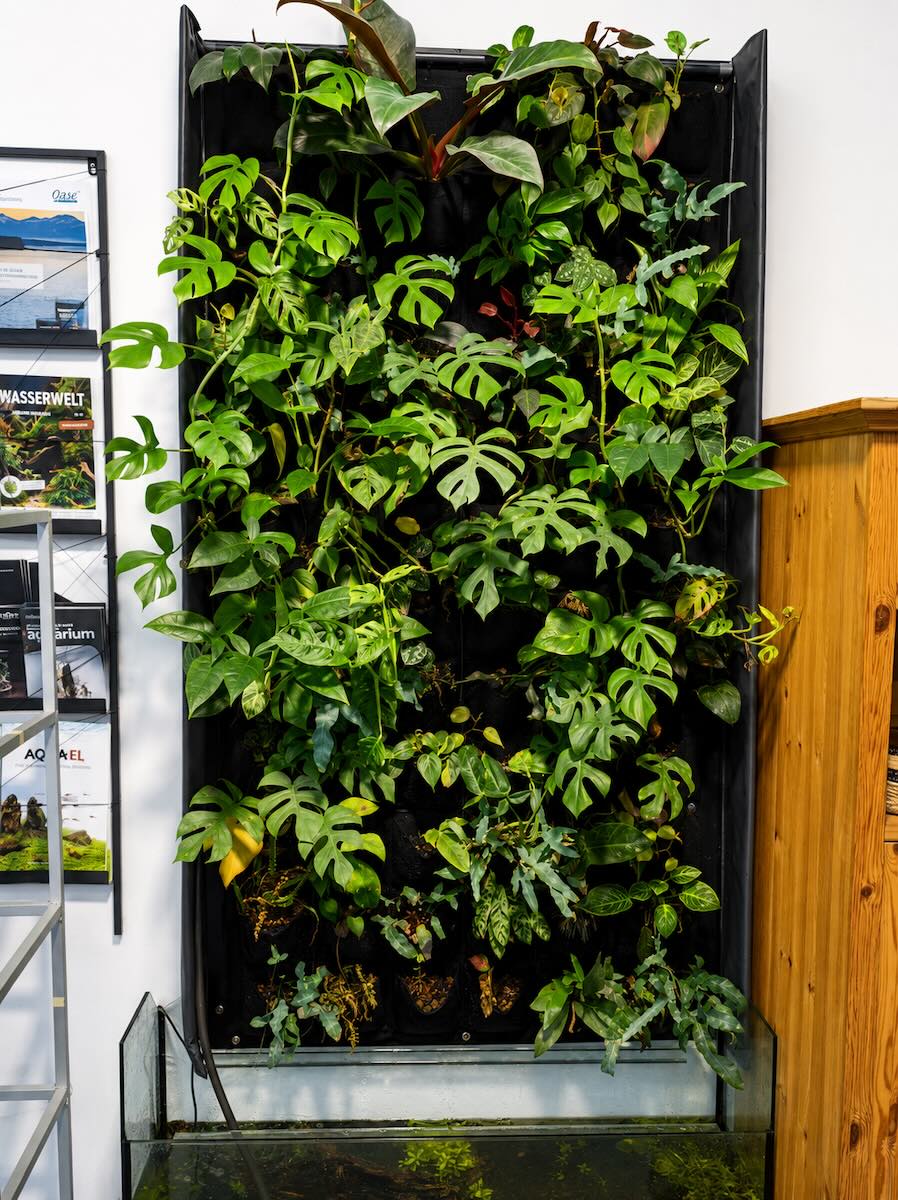 Terra Wall XXL DIY Paludarium – selbst gebaute Rückwand mit Teichfolie und bepflanzten Pads, gesehen bei Aqua Grow Essen 2020