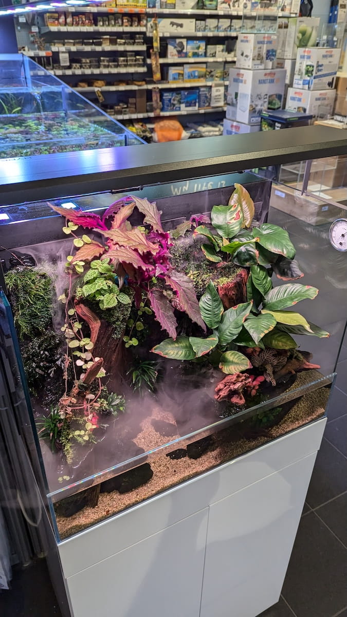UNS Foresta Paludarium – Landzone mit tropischen Pflanzen, Moosen und Nebeleffekt