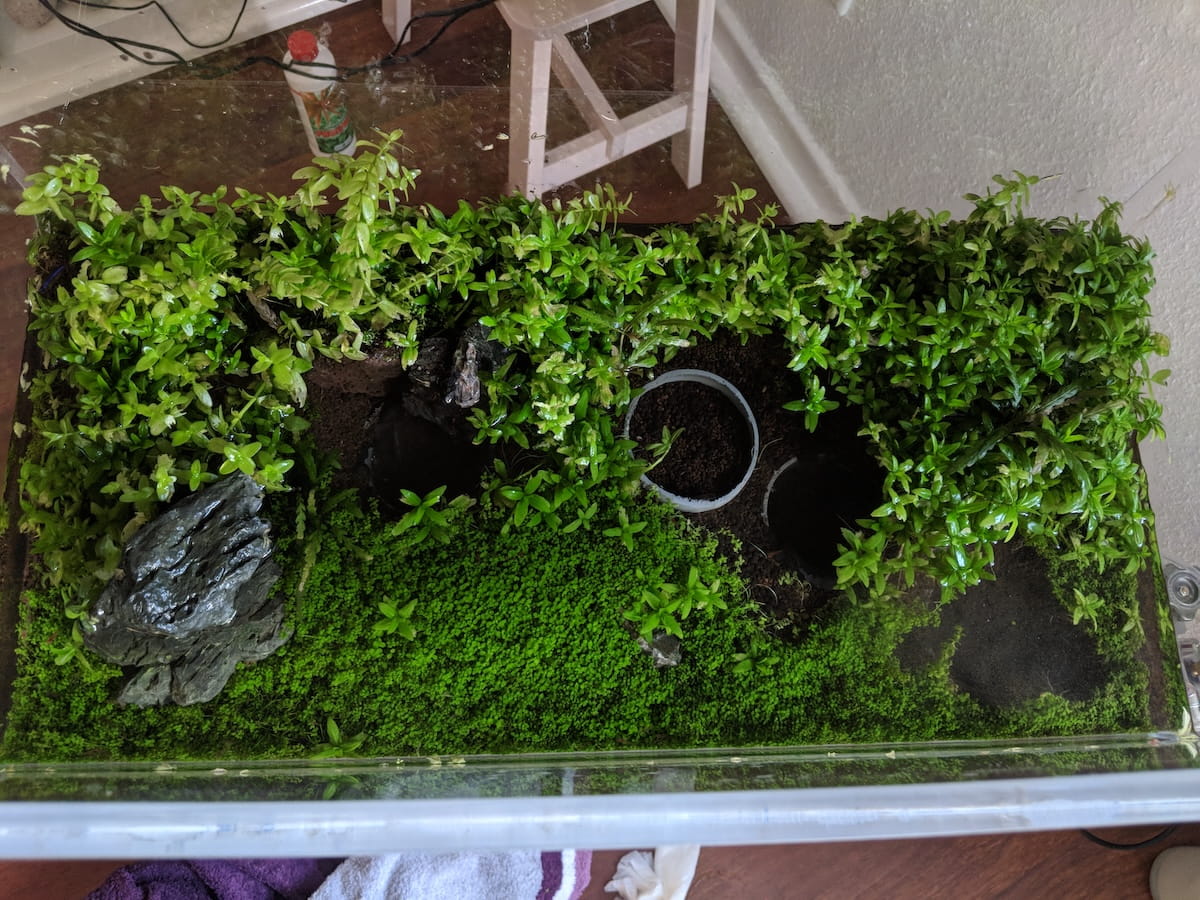 Aquarium ausgelaufen und leer – das Becken musste leider abgebaut werden