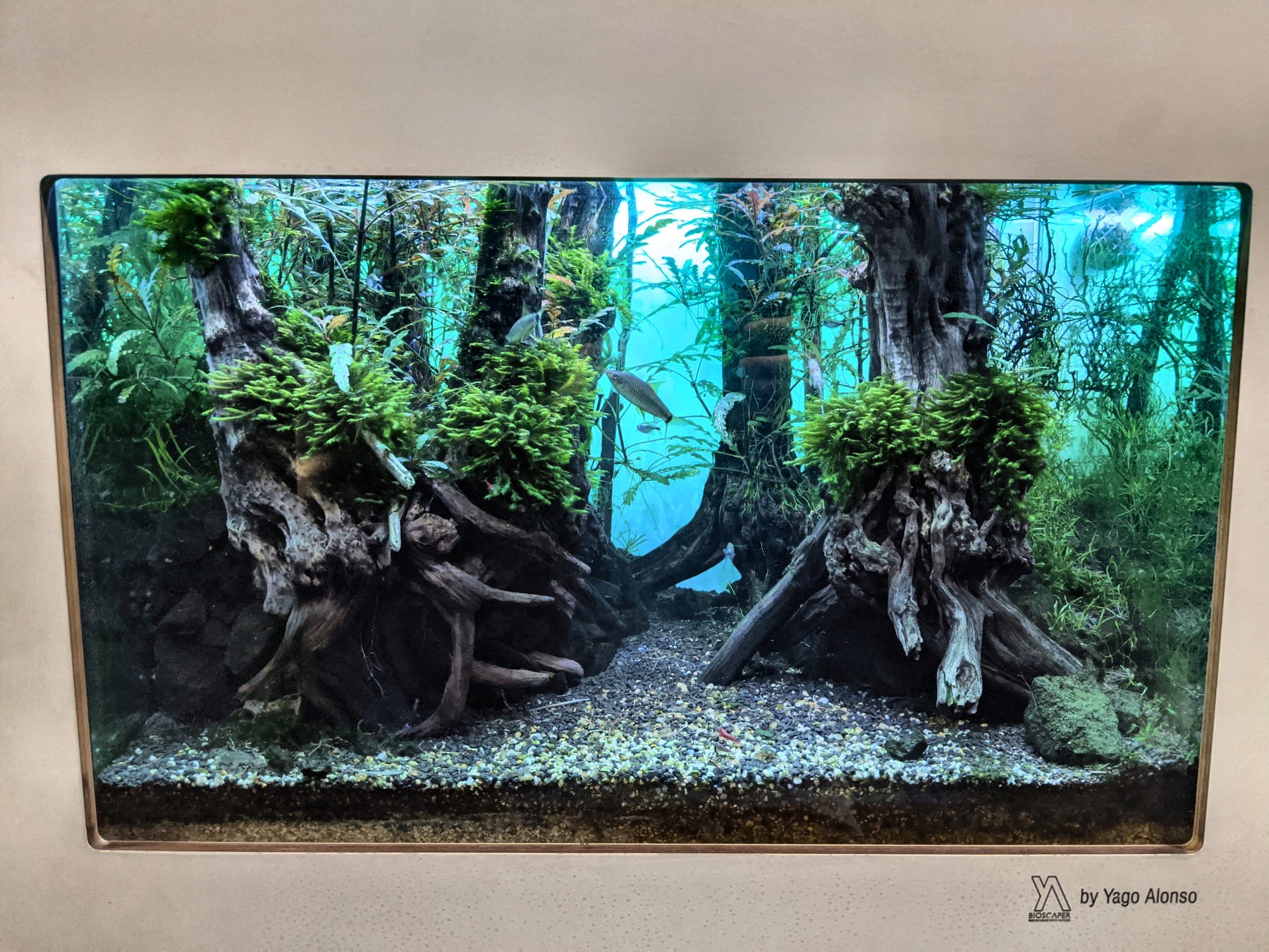Aquariumbecken Außenansicht