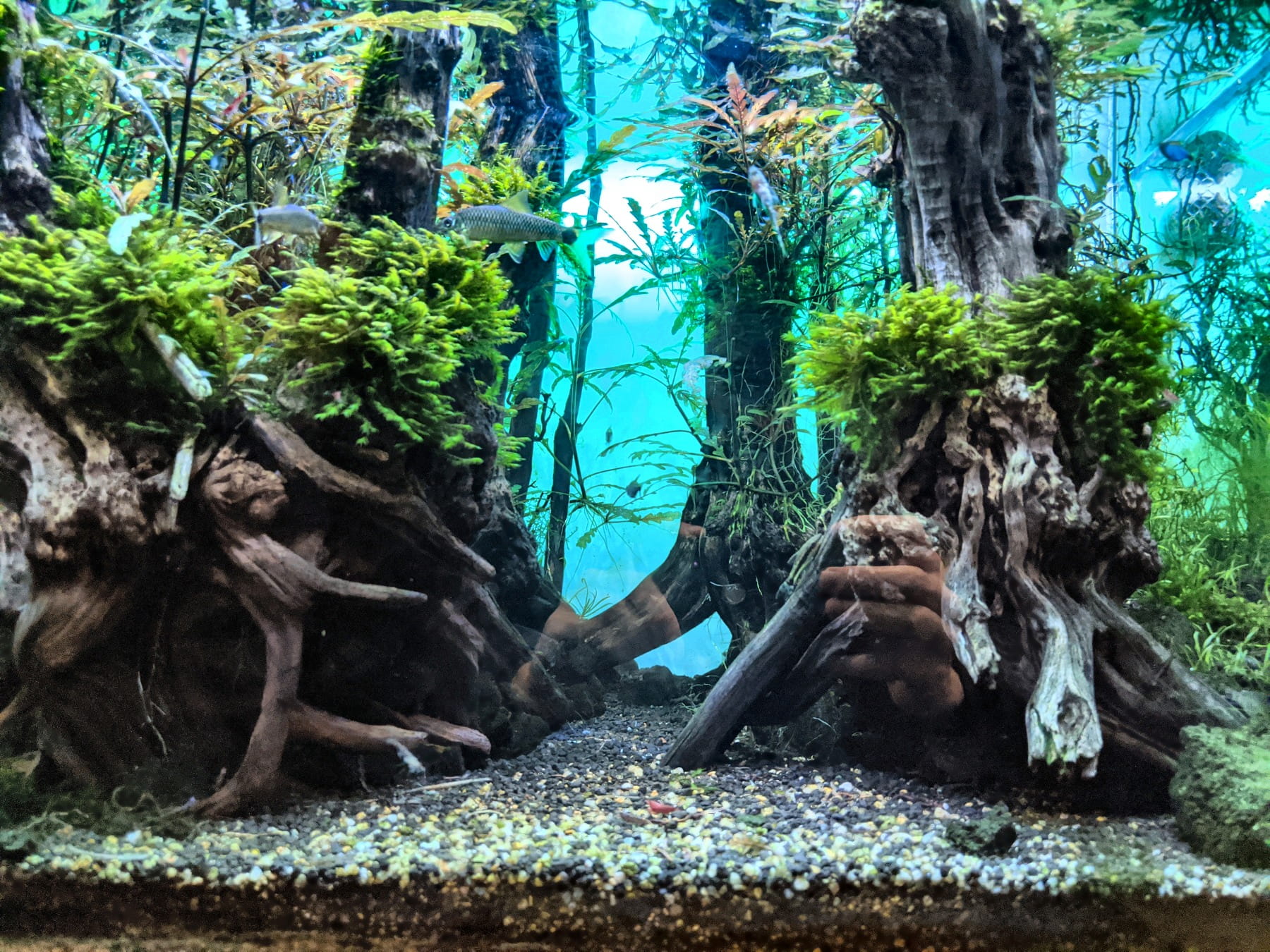 Eingang L'Aquàrium de Barcelona