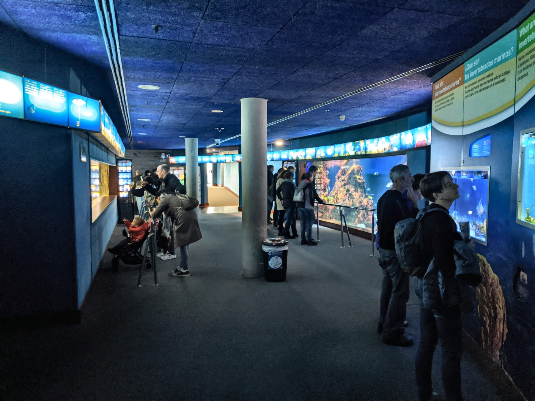 Aquascaping-Wand im Aquarium Barcelona