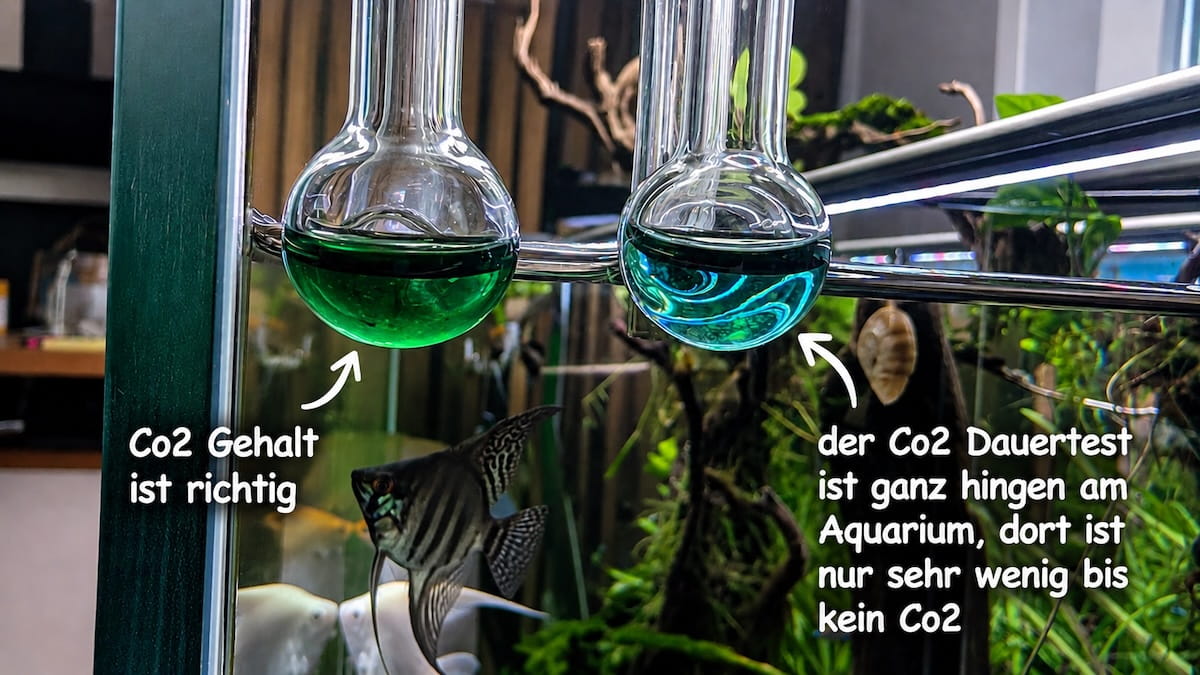 CO2 Dauertest Aquarium – Hang-on Test zeigt zu wenig CO2 im 120P Aquascape