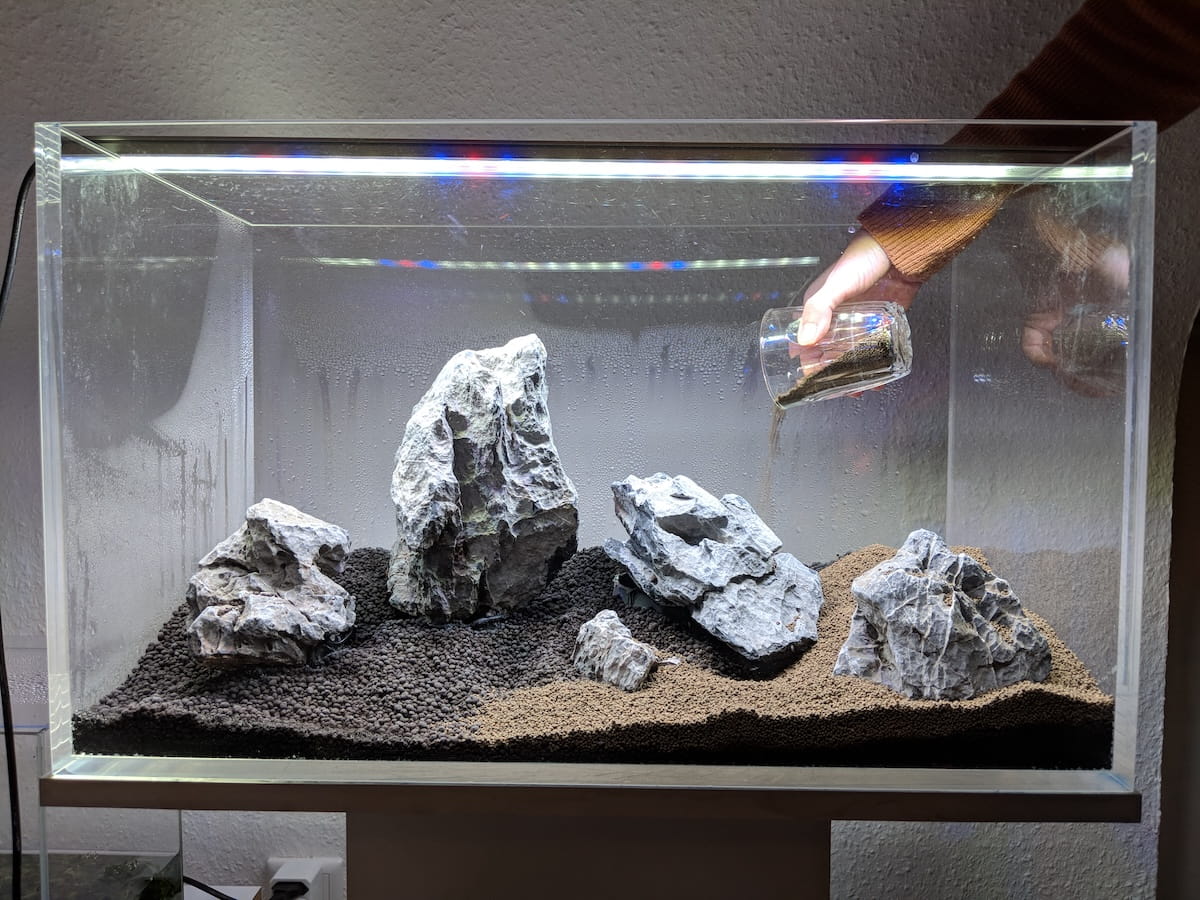 Aquarium Dry Start mit feuchtem Soil und frisch gesetzten Bodendecker Aquarienpflanzen