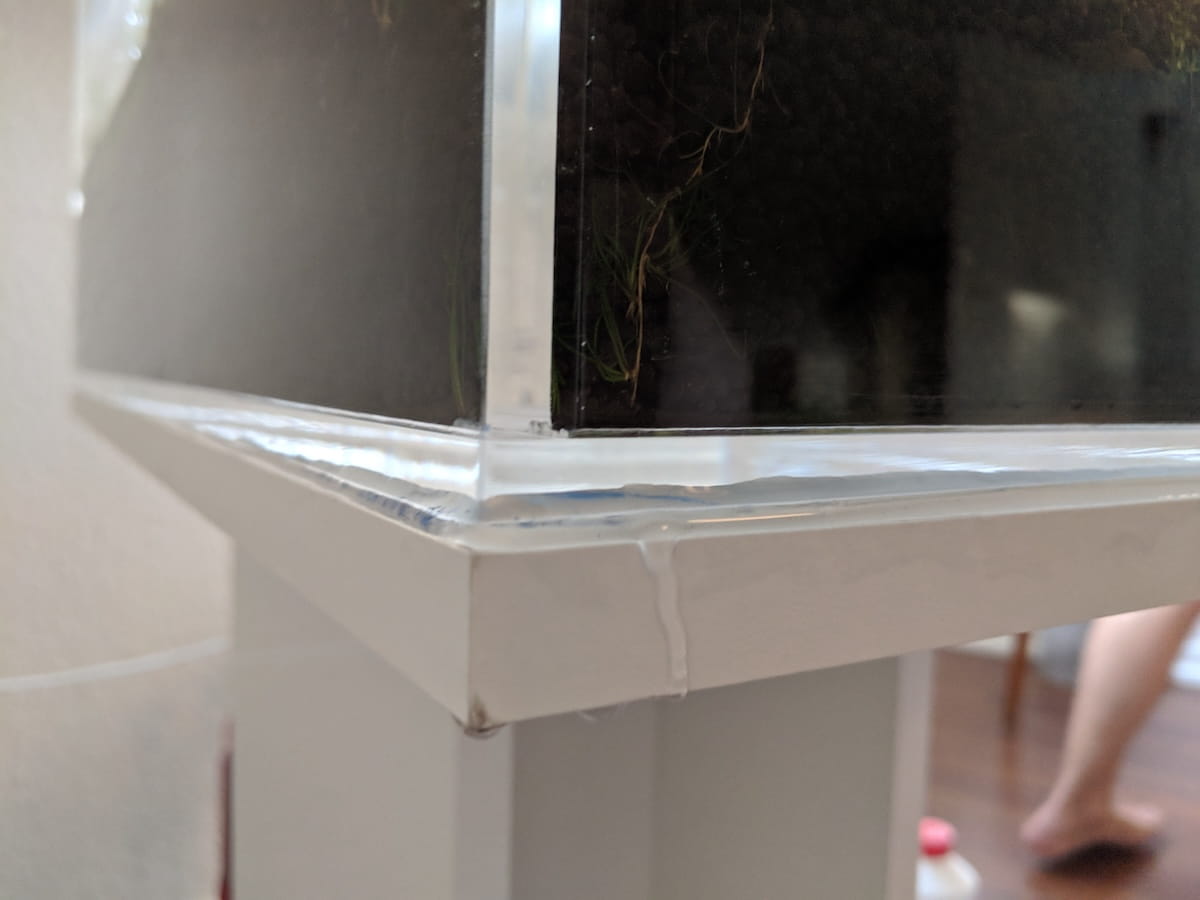 Aquarium Riss – sichtbarer Schaden am Glas als Ursache für Aquarium Wasserschaden