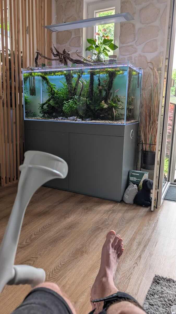 Knie-Operation Jochen – Aquascaping-Pflege nicht möglich, Berlin 2026