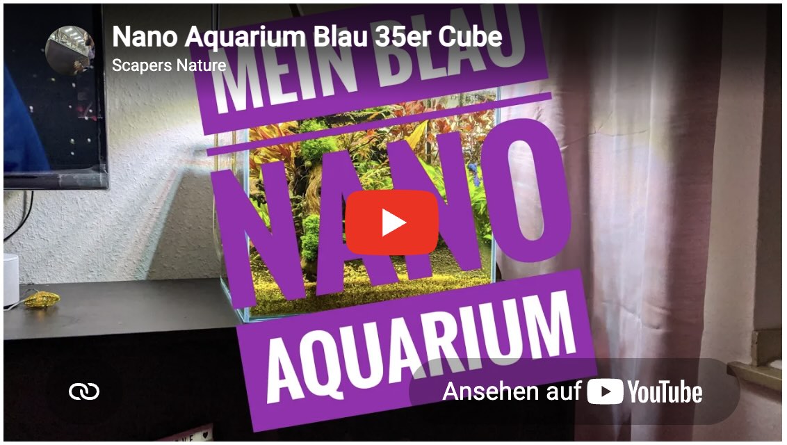 Blau 35 Cube Nano Aquarium mit BLAU Lumina LED – Video auf YouTube ansehen