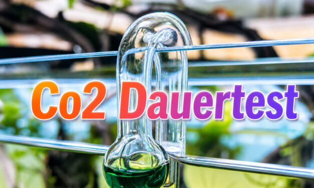 Co2 Dauertest Aquarium