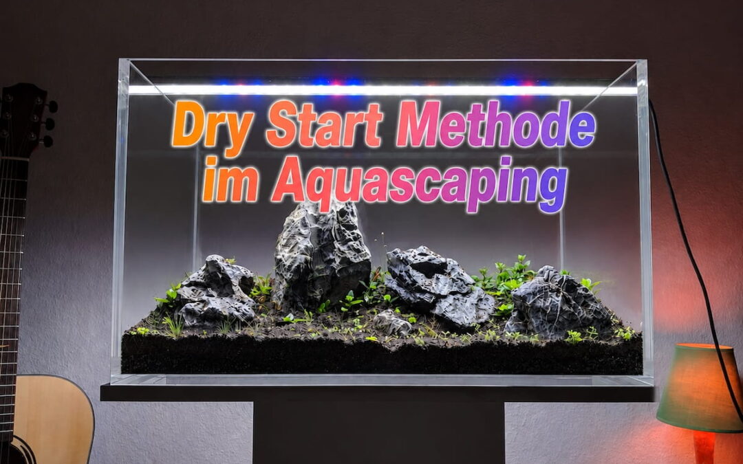 Dry Start Methode