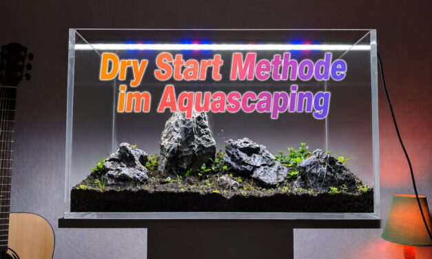 Dry Start Methode