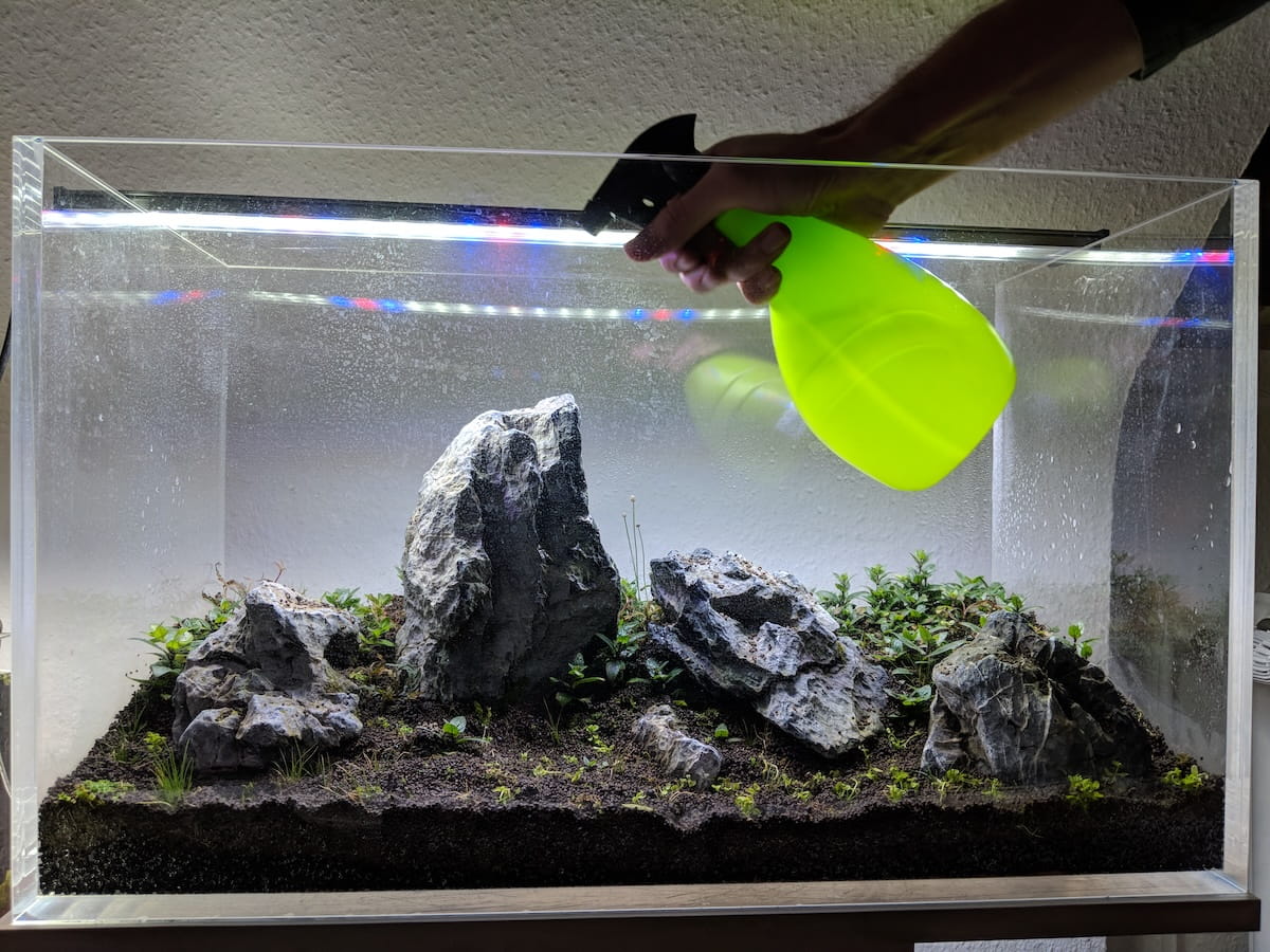 Dry Start Methode Aquascaping – Bodendecker Pflanzen mit hoher Luftfeuchtigkeit und feuchtem Soil