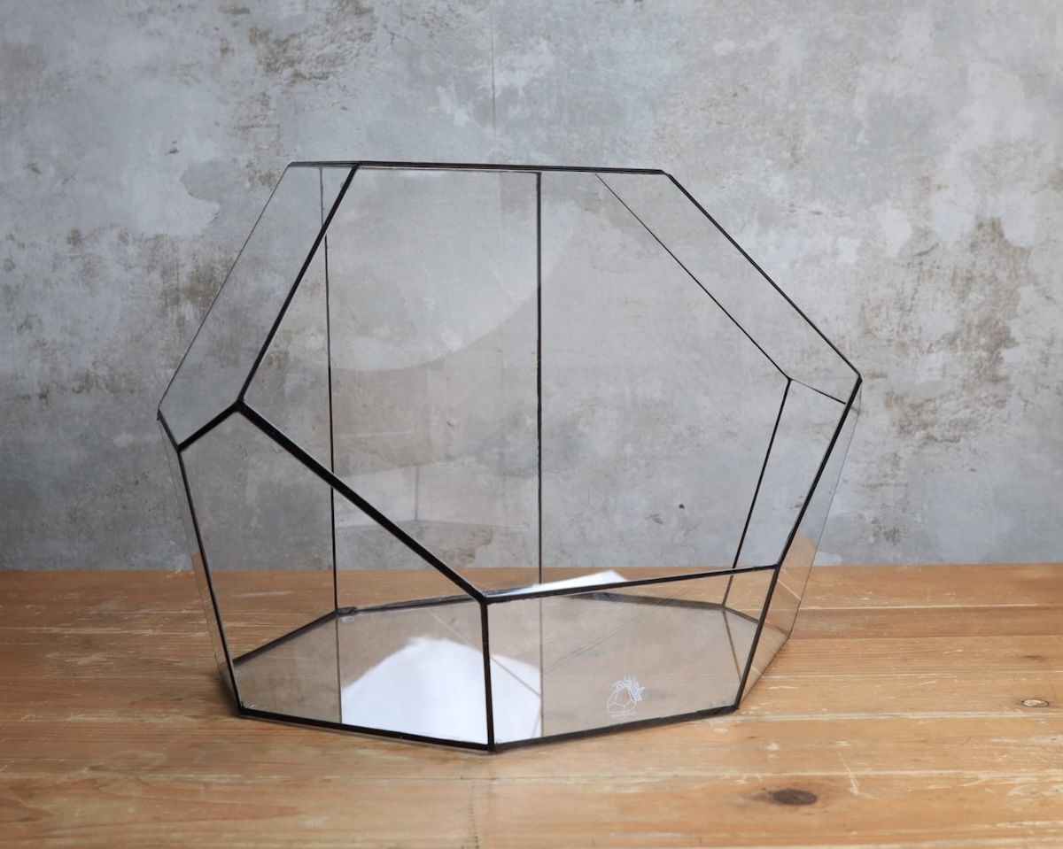 Mini-Terrarium Glas – hochwertiges Glasterrarium mit Silikonnaht und Pflanzen