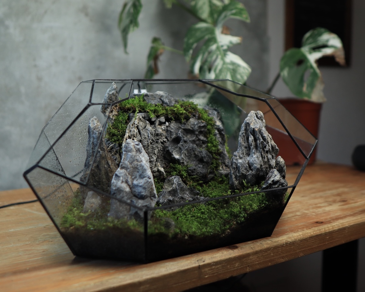 Mini-Terrarium mit tropischen Pflanzen – geometrisches Glasterrarium eingerichtet