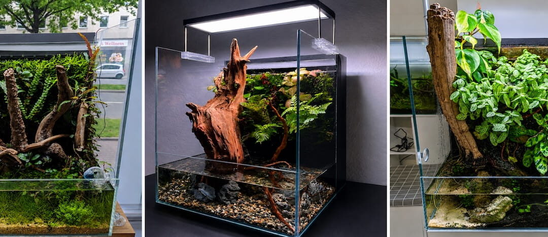 Paludarium