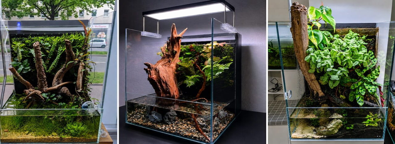 Paludarium