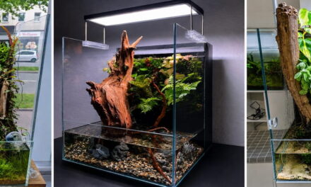 Paludarium