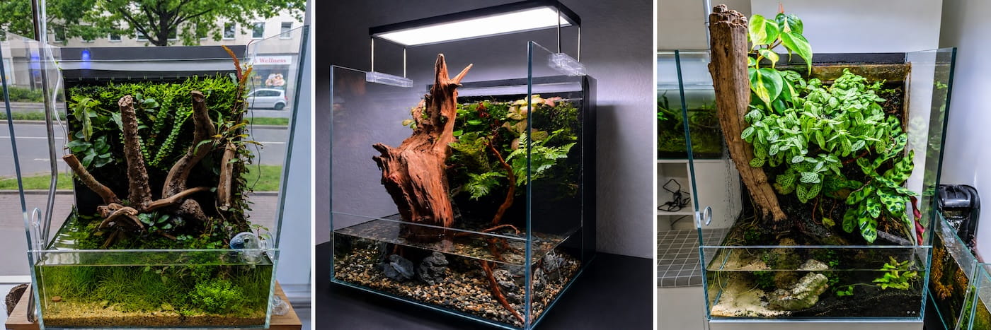 Paludarium Gesamtansicht – Wasser- und Landzone im fertigen Aquarium-Terrarium Setup